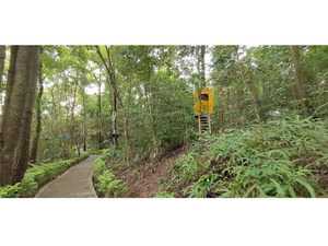 云南德宏叢林穿越