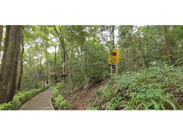 云南德宏丛林穿越