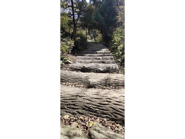 灵宝花仙子栈道