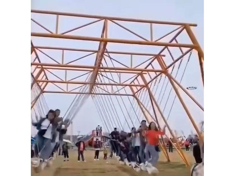 广东网红秋千项目