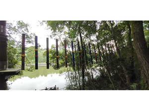 云南德宏叢林穿越