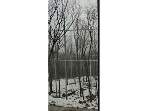 河南登封軌道滑(叢林穿梭)