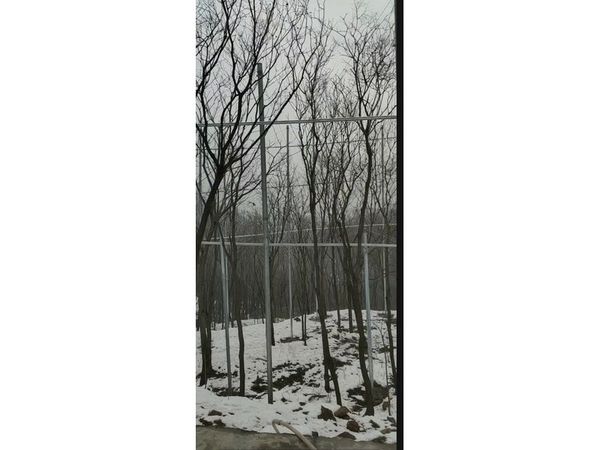 河南登封轨道滑(丛林穿梭)