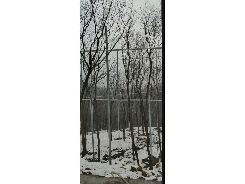 河南登封轨道滑(丛林穿梭)