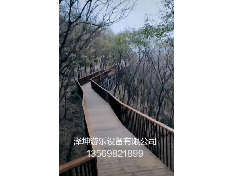河南登封木质栈道