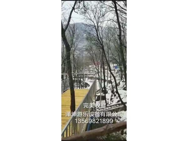 河南登封轨道滑完工验收
